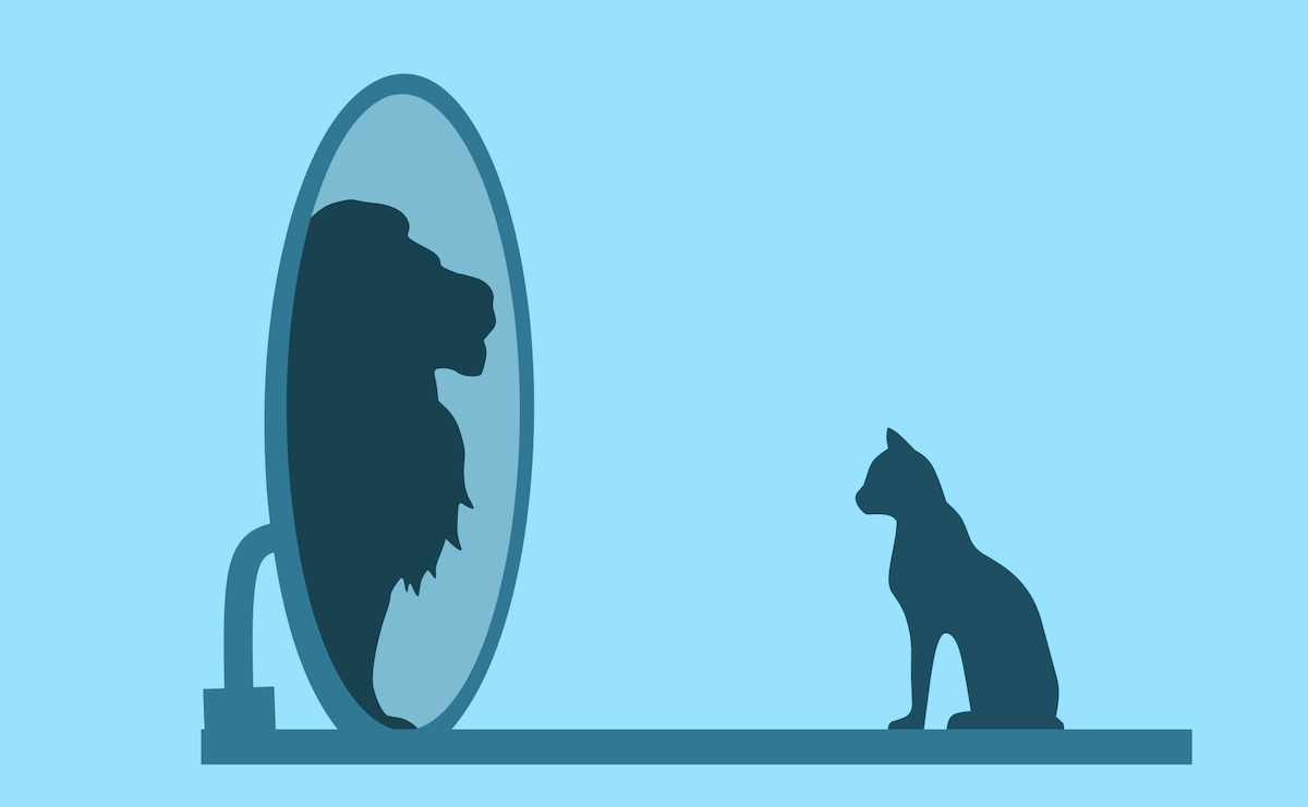 cat looking into a mirror that reflects a lion