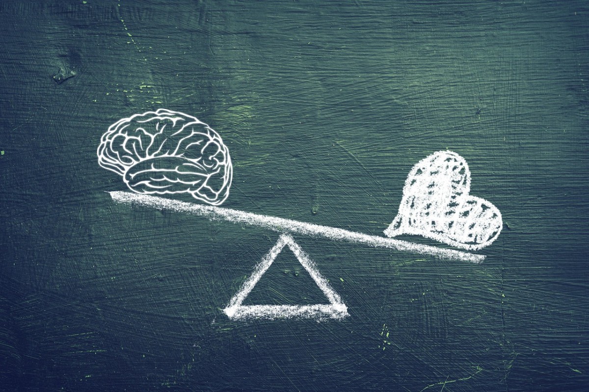 emotion regulation and executive functioning article